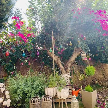 Evanthia's Holiday home *